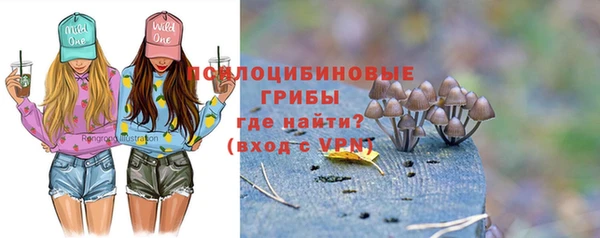 ГАЛЛЮЦИНОГЕННЫЕ ГРИБЫ Абинск