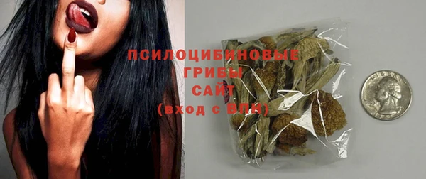 ГАЛЛЮЦИНОГЕННЫЕ ГРИБЫ Абинск