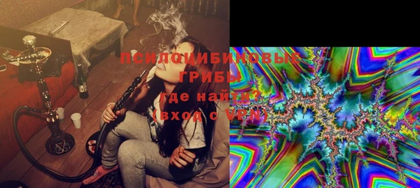 дживик Заводоуковск