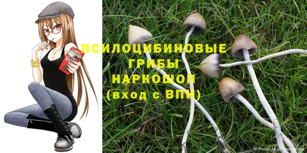 ГАЛЛЮЦИНОГЕННЫЕ ГРИБЫ Абинск