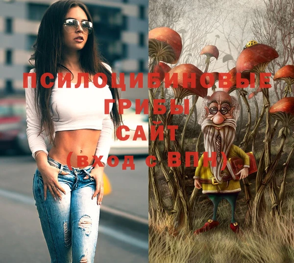 ГАЛЛЮЦИНОГЕННЫЕ ГРИБЫ Абинск