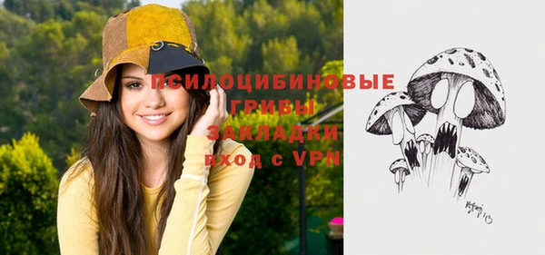 ГАЛЛЮЦИНОГЕННЫЕ ГРИБЫ Абинск