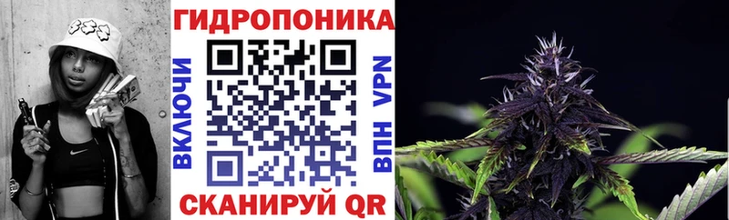 Каннабис SATIVA & INDICA Тайга